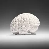 Katharina Fritsch, Gehirn (Brain), 1987-89, painted plaster