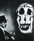 Philippe Halsman, Dali Skull