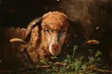 Edwin D. Connell, Ram'S Head, Oil on canvas