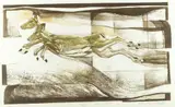 Riddick, Tandem Leaps, Color lithograph