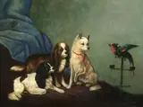 P. English, Dogs and Parrot, Oil on canvas