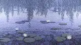 Lynam, Waterlilies, Oil on canvas