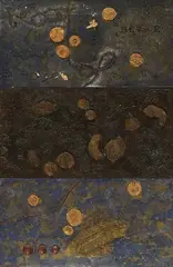 Mokha Laget, Plate Xxix, Mixed media on canvas