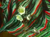 Margaret Theyre, Christmas Roses, Oil on panel
