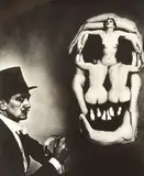 Philippe Halsman, Dali Skull
