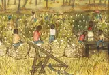 American School, African-American Cotton Field Workers