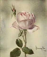 Channing Hare, The Rose, Oil on board