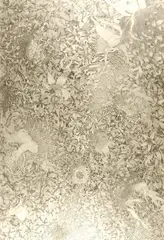 Alyce Chaikin, Transcendental Etude #2, Graphite on rag board