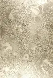 Alyce Chaikin, Transcendental Etude #2, Graphite on rag board