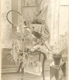 Richard Brady, Tennis Racket, Graphite on paper