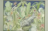 Donald Lake, Cactus, Pastel