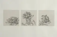 Bob Kane, Untitled, THREE ROSES, pencil and wash on paper