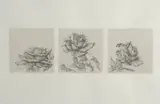 Bob Kane, Untitled, THREE ROSES, pencil and wash on paper