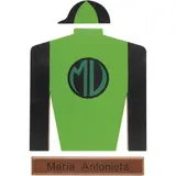 MÉXICO, SIGLO XX by Camisa de Cuadra María Antonieta, Acrílico sobre MDF, offered Jul 2024