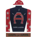 Camisa de Cuadra la Aurora, MÉXICO, SIGLO XX, Acrílico sobre MDF