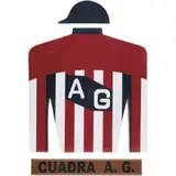 Camisa de Cuadra A. G, MÉXICO, SIGLO XX, Acrílico sobre MDF