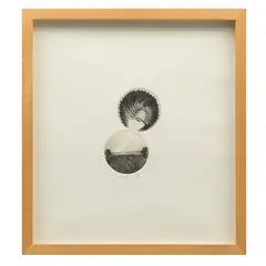 Francisco Toledo, Untitled, Grabado al aguafuerte y al aguatinta