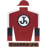 Camisa de Cuadra J-a, MÉXICO, SIGLO XX, Acrílico sobre MDF