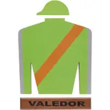 Camisa de Cuadra Valedor, MÉXICO, SIGLO XX, Acrílico sobre MDF
