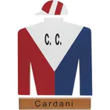 Camisa de Cuadra Cardani, MÉXICO, SIGLO XX, Acrílico sobre MDF