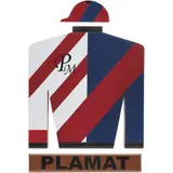 Camisa de Cuadra Plamat, MÉXICO, SIGLO XX, Acrílico sobre MDF