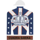 Camisa de Cuadra Sarika, MÉXICO, SIGLO XX, Acrílico sobre MDF
