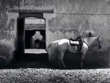 Mariana Yampolsky, Caballeriza' (Stables), Mexico 1980s, photograph