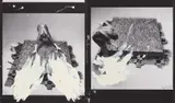 Ohne Titel by Günther Uecker, 1981, Karton nach Photographien von Rolf Schroeter. Beide Lithographien von Uecker übermalt, sold Jan 2018