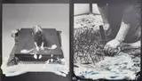Ohne Titel by Günther Uecker, 1981, Konvolut von 2 Granolithographien auf Karton nach Photographien von Rolf Schroeter, sold Feb 2018