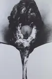 Otto Piene, Auktion 404, Los 777, 1972, Farbserigrafie auf Chromokarton
