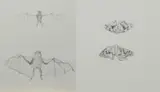 Kiki Smith, Konvolut von 2 Grafiken, 1998, Lithografie mit Appliaktion auf Pergamin