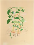 Cobea (Pisum sensuale) by Salvador Dalí, 1967, Radierung auf ARCHES (Wasserzeichen), sold Jan 2019