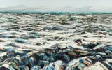 Ralph Fleck, Auktion 401, Los 333, 1997, Öl auf Leinwand