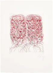 Tony Cragg, Profiles (C.F. 5663), 2011-12, Etching in colours, on wove paper, with full margins