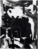 Adam Pendleton, if the function of writing is to express the world