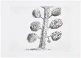Louise Bourgeois, Untitled, plate 1 from Topiary: The Art of Improving Nature (MoMA 444), 1998, Etching and drypoint, on Magnani Incisione paper, with full margins