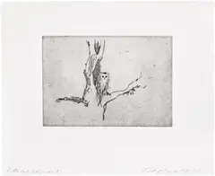Tracey Emin, Little Owl Self-Portrait, 2005, Polymer-gravure etching, on wove paper, with full margins