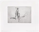 Tracey Emin, Little Owl Self-Portrait, 2005, Polymer-gravure etching, on wove paper, with full margins