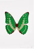 Damien Hirst, The Souls III - Leaf Green/Cool Gold/Burgundy