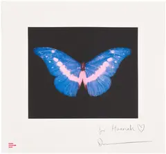 Damien Hirst, To Belong, 2008, Aquatint and photogravure in colours, on wove paper, with full margins