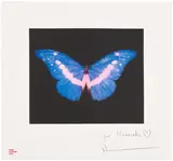 Damien Hirst, To Belong, 2008, Aquatint and photogravure in colours, on wove paper, with full margins