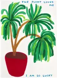 David Shrigley, The Plant Loves Me, 2023, Screenprint in colours with varnish overlay, on Somerset paper, the full sheet