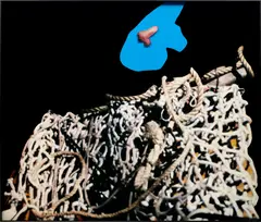 John Baldessari, Noses & Ears, Etc. (Part Two): (Blue) Face with Nose and Tangled Rope, 2006, acrylic on archival digital print, in artist's frame