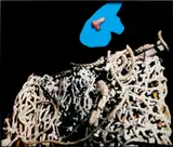 Noses & Ears, Etc. (Part Two): (Blue) Face with Nose and Tangled Rope by John Baldessari, 2006, acrylic on archival digital print, in artist's frame, sold Mar 2025