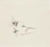 Julie Mehretu, Untitled