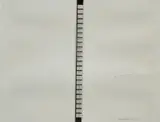 Marcel Broodthaers, 24 images/seconde