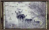Peter Beard, Waterbuck Family on the Uaso Nyiro/ for The End of the Game/ Last Word from Paradise, 1968, unique mural-sized work, comprising a toned gelatin silver print with blood, ink, watercolour, tempera paint, original drawings by the artists Kivoi Mathenge and E. Mwangi Kuria of the Hog Ranch Art Department, ephemera collage and affixed feathers and leaves, in the original driftwood frame