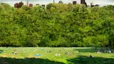 Sangbin Im, Central Park 2, 2007, artist made chromogenic print, mounted