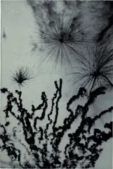 Philippe Parreno, The Sorcerer's Apprentice (White fireworks in daytime, launching a sigil in the sky), 2008, phosphorescent ink silkscreened on black velvet