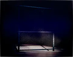 Thomas Demand, Zaun (Fence), 2004, artist made dye destruction print, face-mounted and mounted